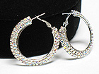 DUAL LINE CRYSTAL HOOP EARRING