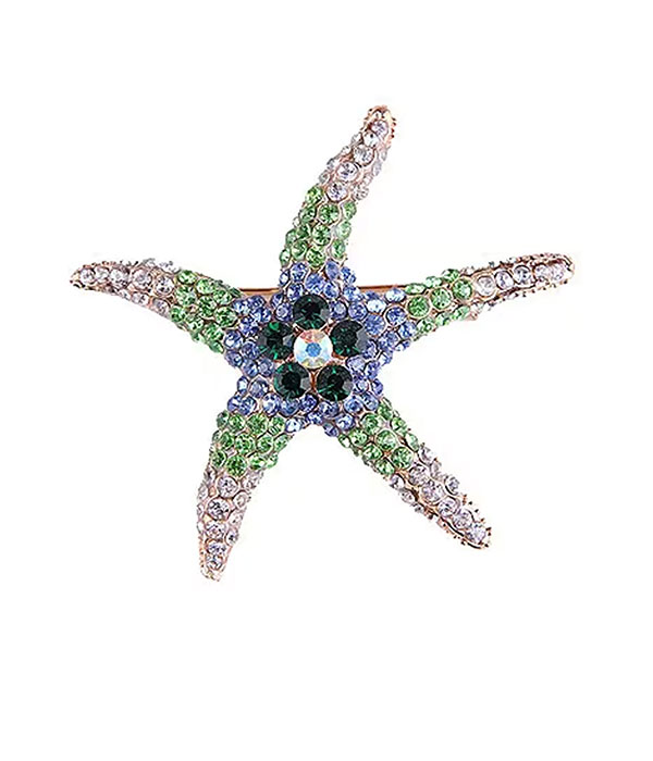 Sealife theme starfish brooch