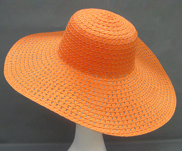 100% paper straw vivid crisscross hat