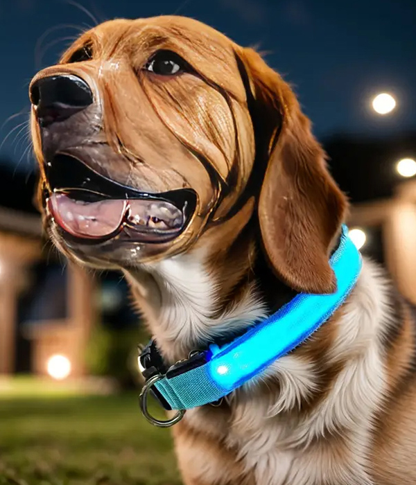 Led glow in the dark dog collar