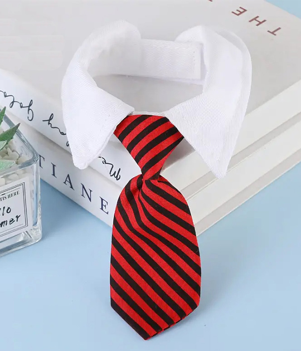 Bowtie dog or cat collar