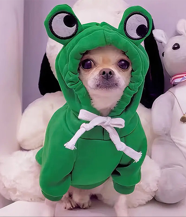Frog dog hoodie