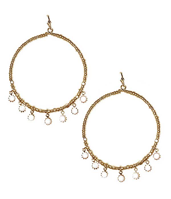 Metal hoop and facet stone earring