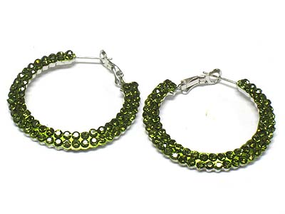 Crystal double paved round hoop earring - hoops