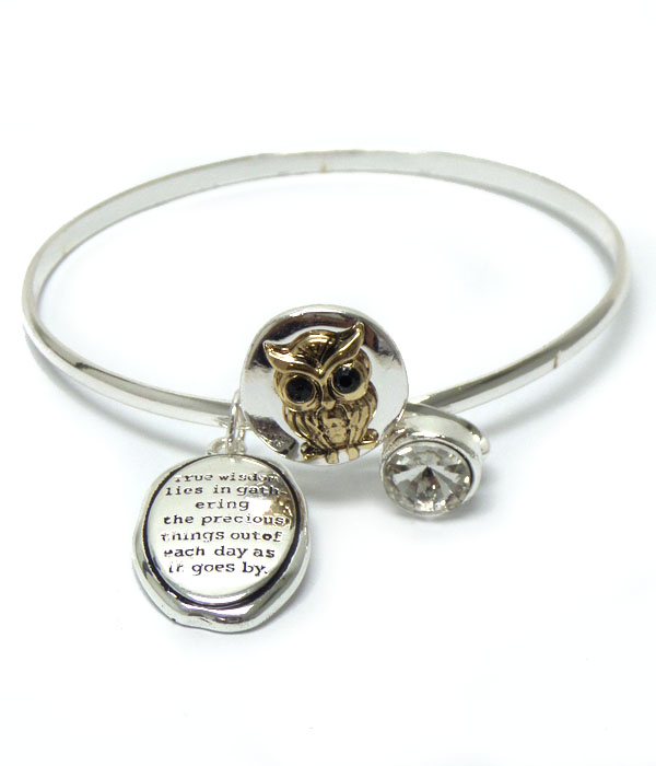 Metal owl with message bangle bracelet
